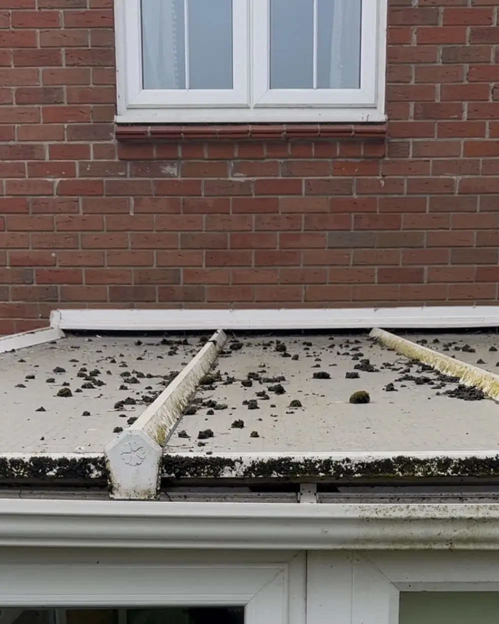 Before: a conservatory roof covered in fallen leaves and grime
